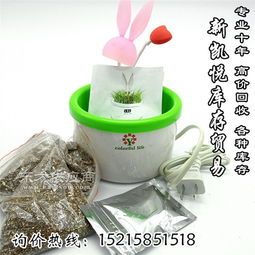 義烏市高悅?cè)沼冒儇浬绦?打造便捷生活的一站式購物平臺(tái)